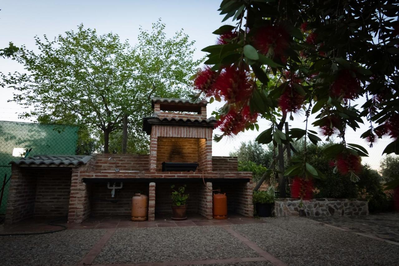 Entreolivos Vakantiehuis Villarrubia de los Ojos