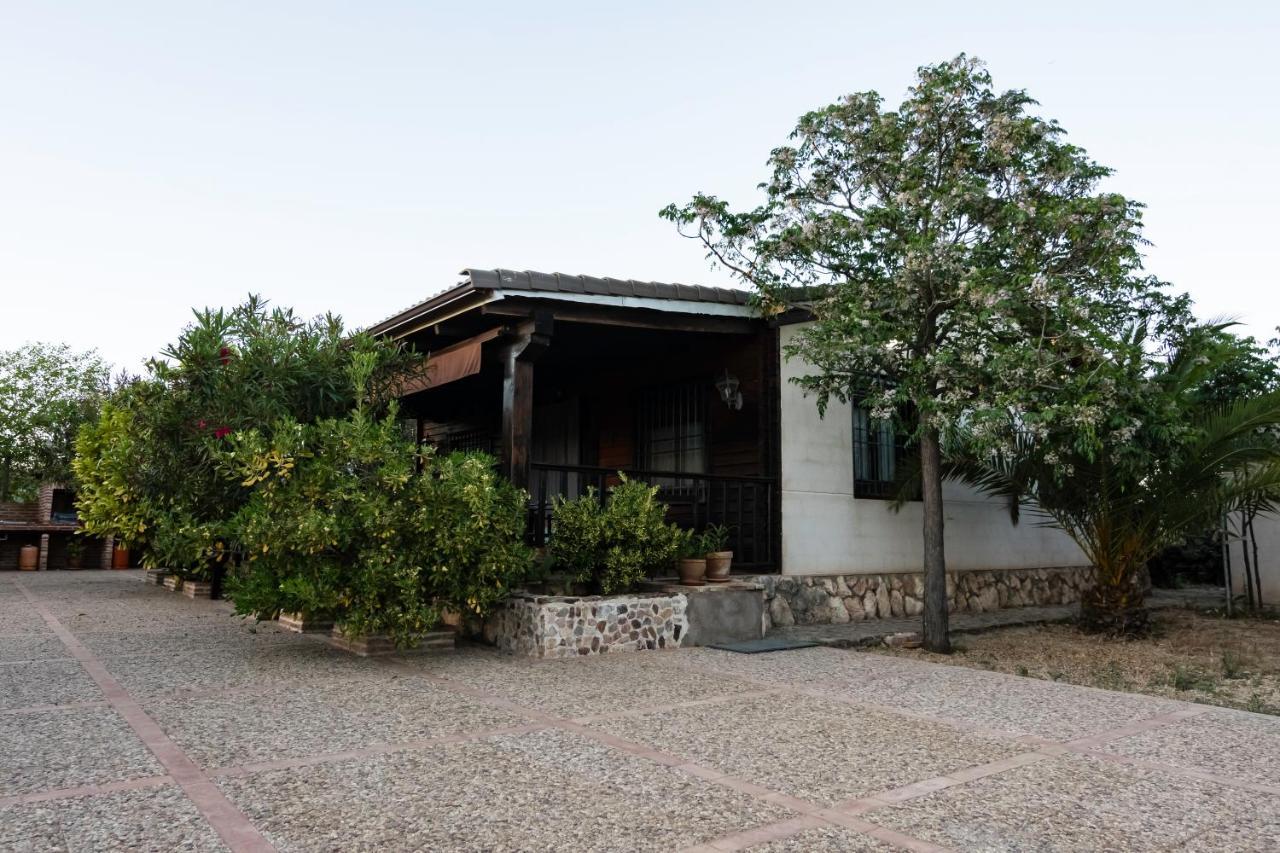 Entreolivos Holiday home Villarrubia de los Ojos