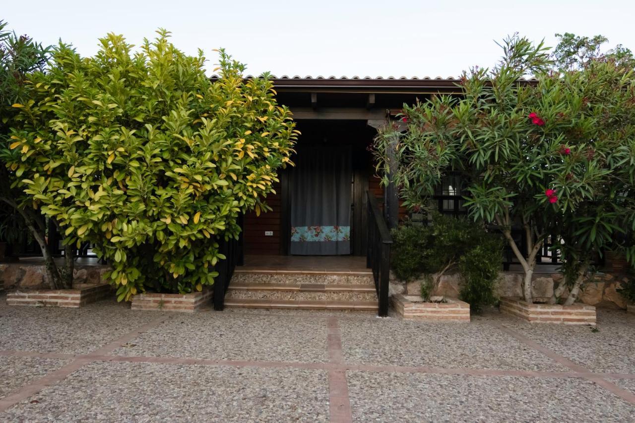 Entreolivos Holiday home Villarrubia de los Ojos