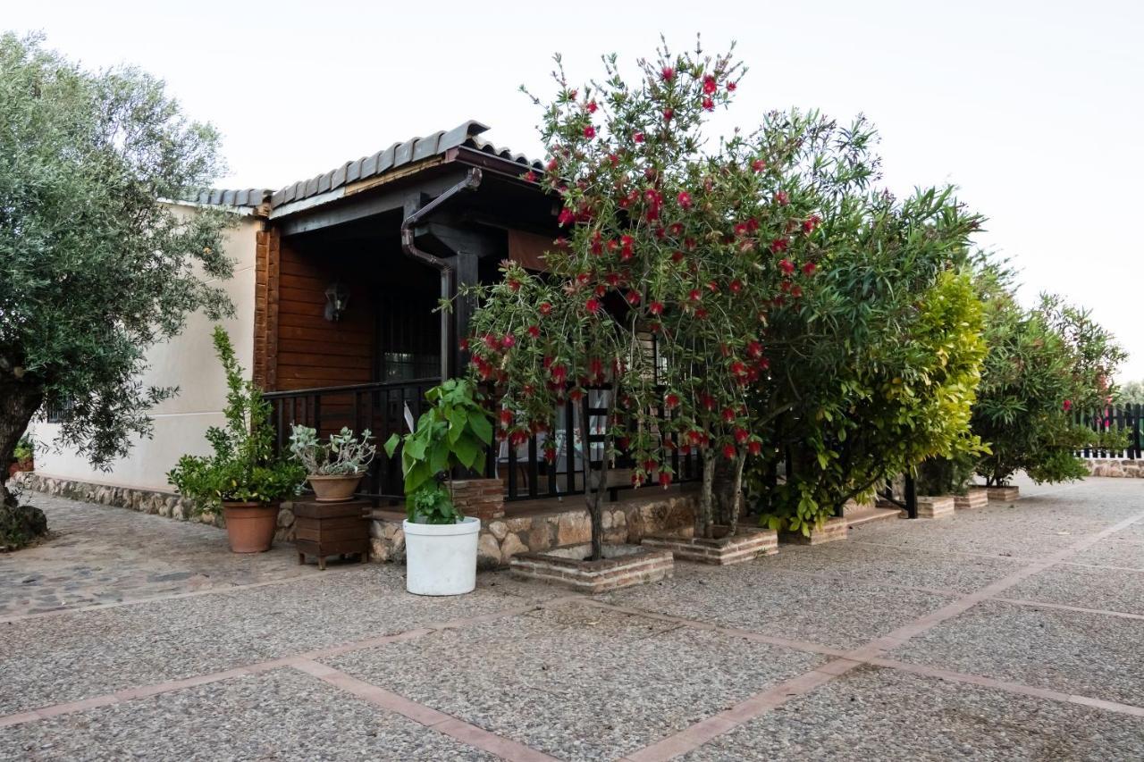 Holiday home Entreolivos