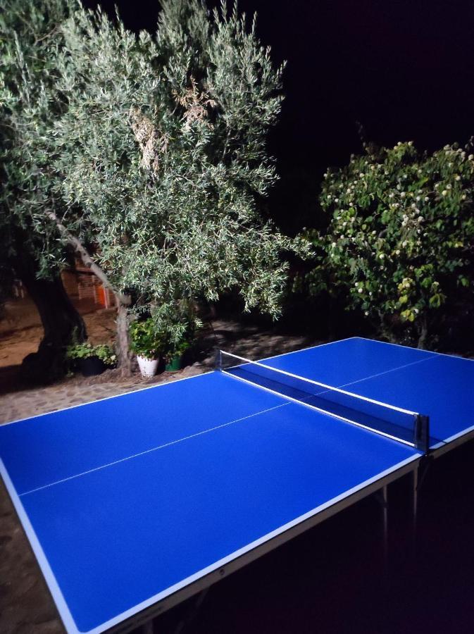 Entreolivos Holiday home *