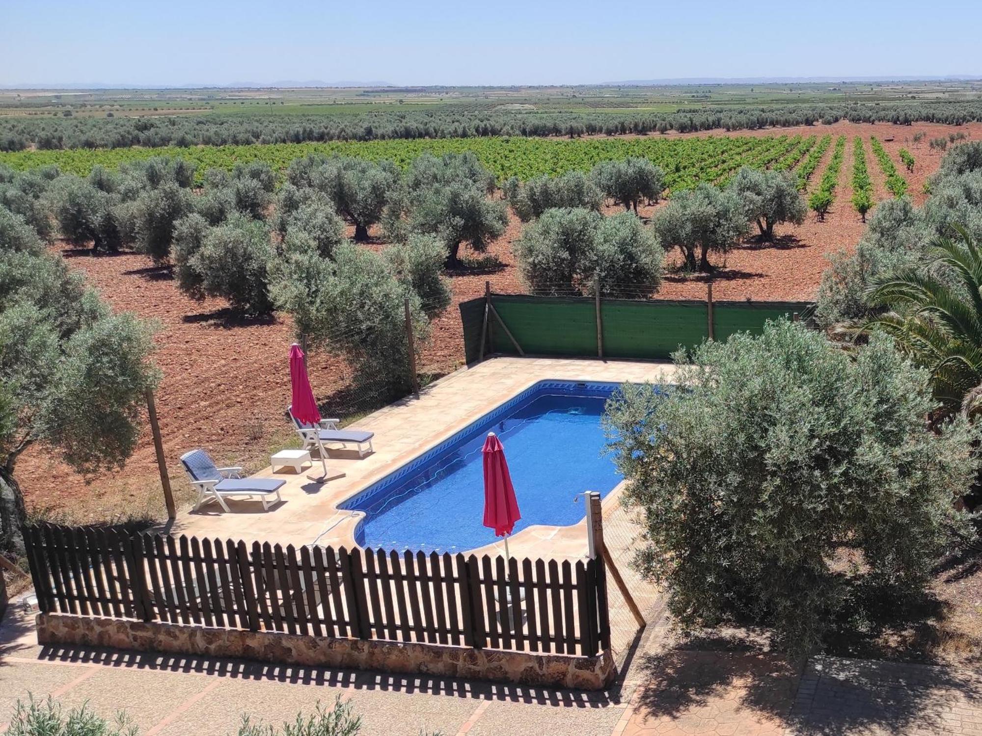 Holiday home Entreolivos